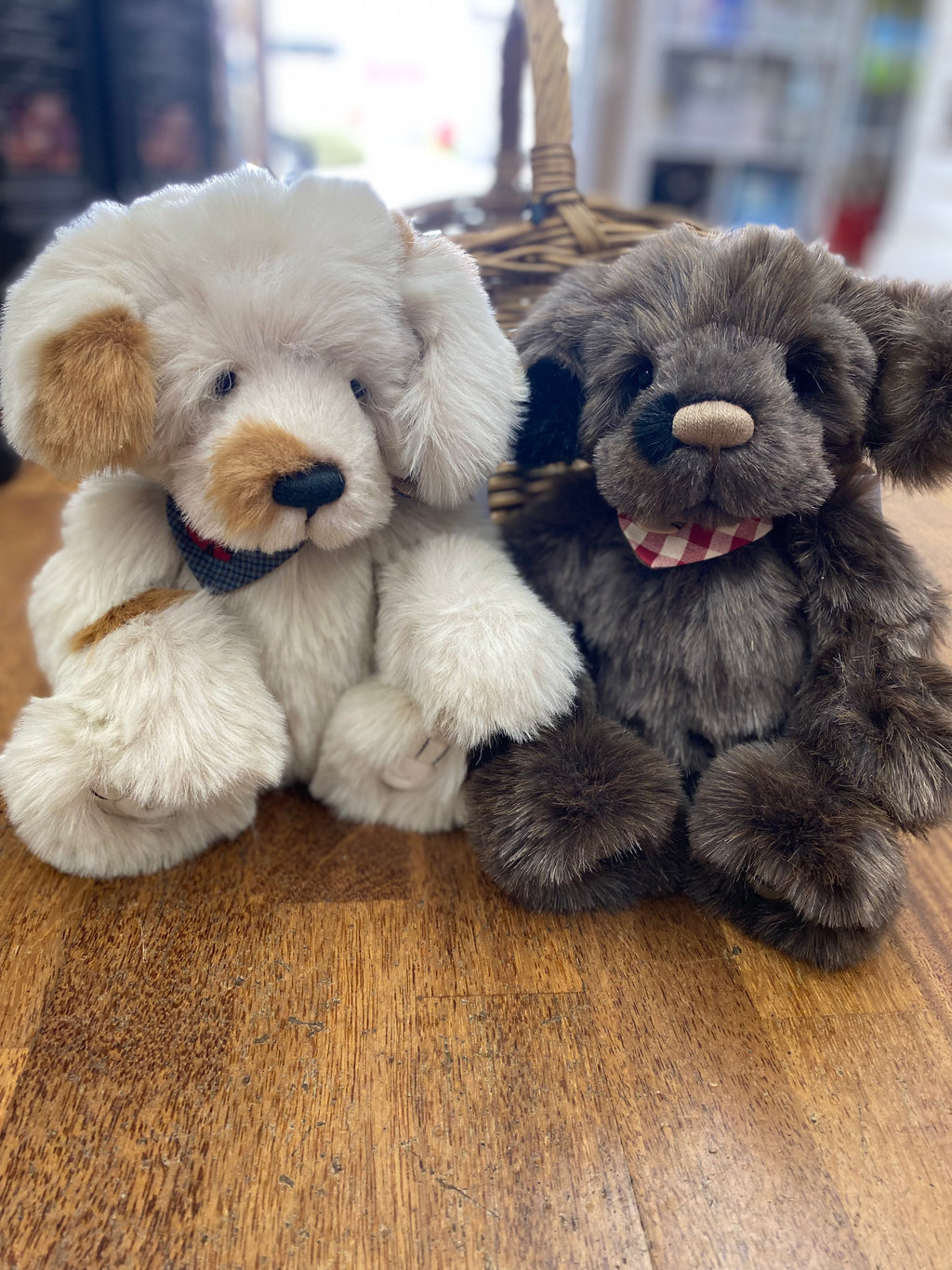 Charlie best sale bear dog